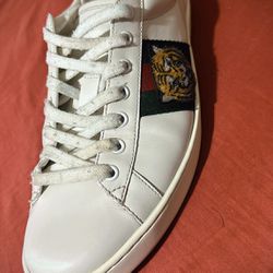 Gucci Ace Tiger 