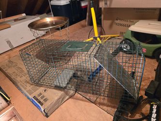 Animal trap