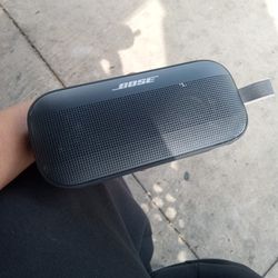 Bose Flex Sound 
