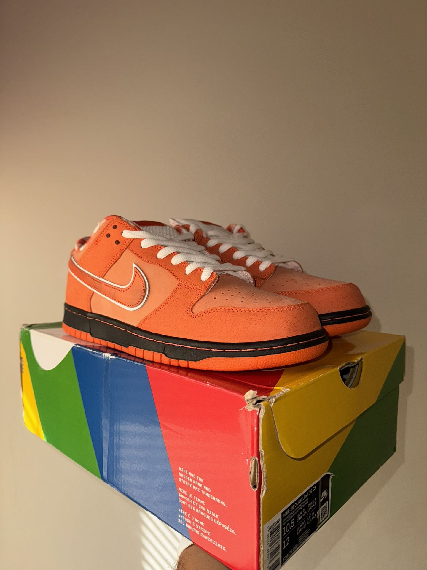 Orange Lobster Nike Sb Dunk - jordan jordan’s nike lebrons bape off white yeezy rick owens travis scott