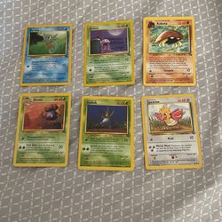 Six Jungle And Fossil Cards From First Series