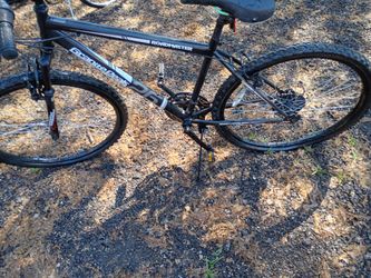 mountain bike new