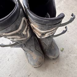 Boys Fox Riding Boots 