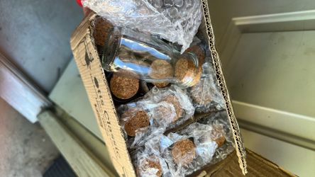 Glass Jars