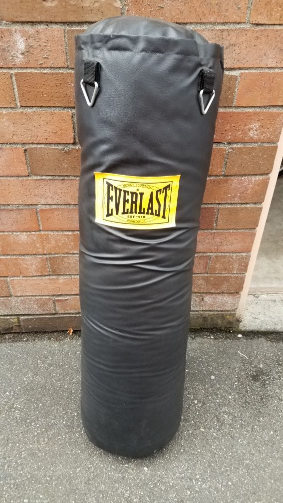 100lb Everlast Heavy Bag