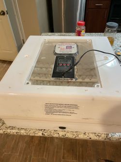 Incubator
