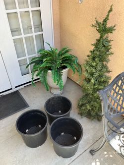 5 gallon plant pots 3 for $10
