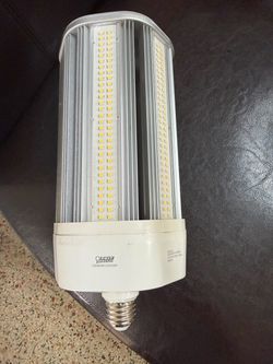 Feit Electric LED Corn Light Bulb C20000/5K