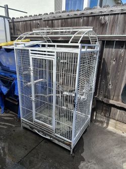 Bird Cages Best Offer