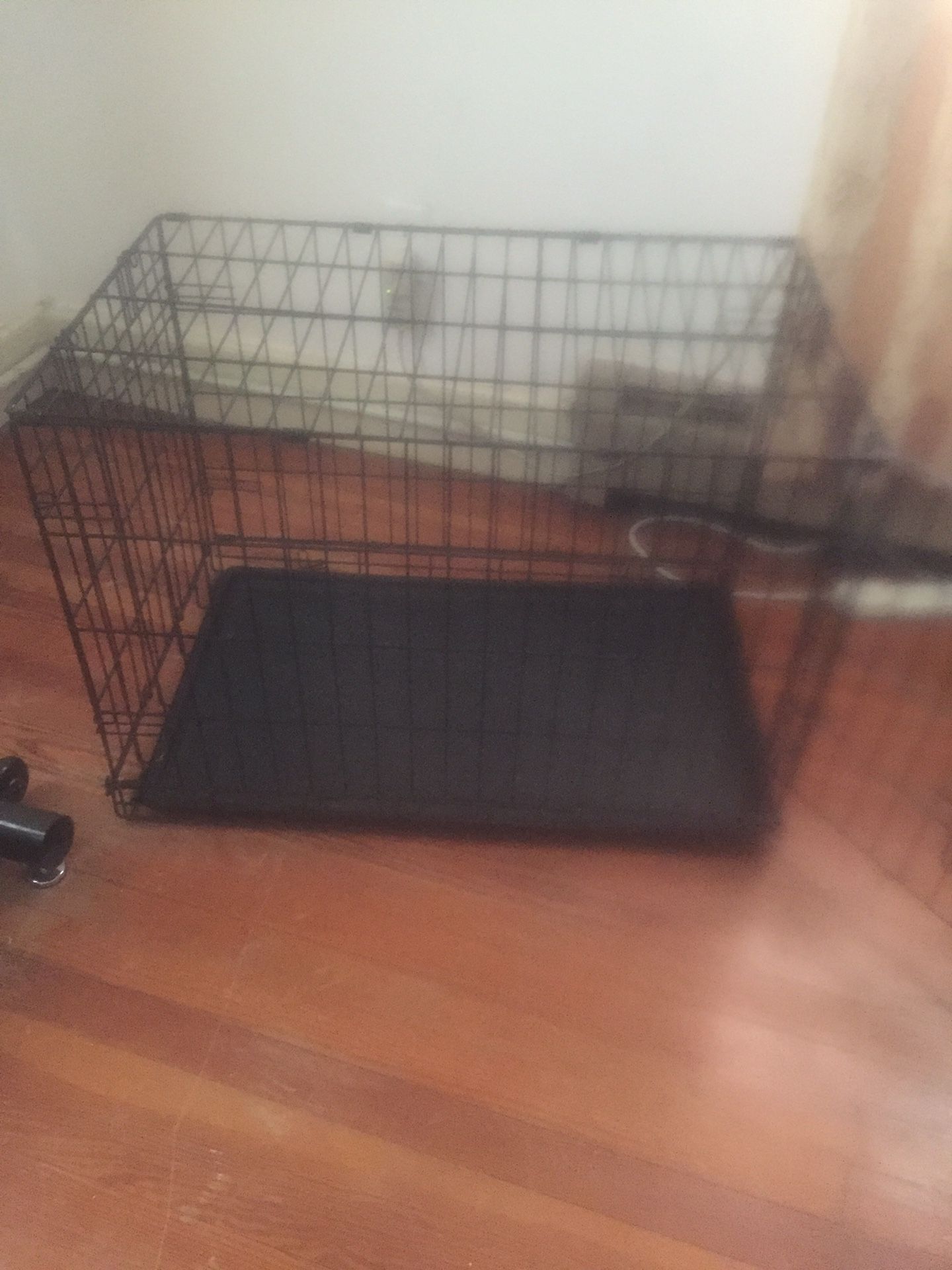 Small dog cage Bedford, Ohio