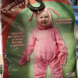 Pink Bunny Costume 18 - 24 months