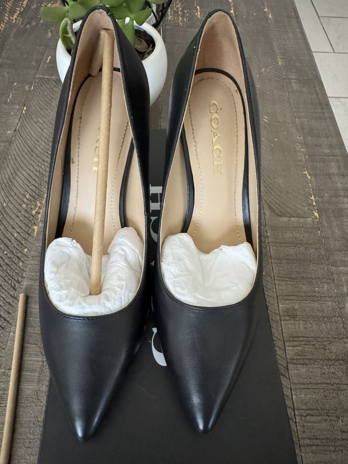 Size 7.5 - Wiley Signature Pumps by Coach! Black with gold accent C's on heel.