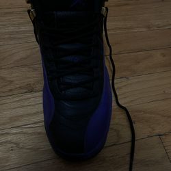 Jordan 12 Retro Field Purple