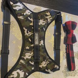 Pack Harness and Collar 