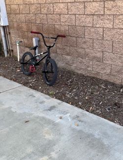 Bmx Sunday