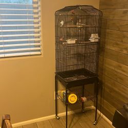 Bird Cage 