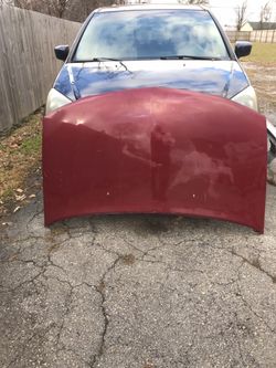 Hood Honda Odessy 2003