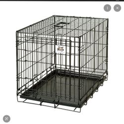 Dog Crate