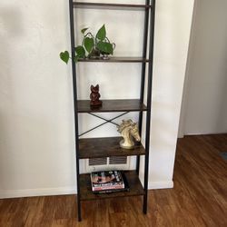 Ladder Bookshelf 