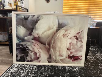 Peony picture with white frame