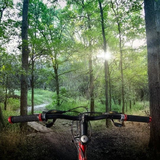 Trek 3700 Mountain Bike