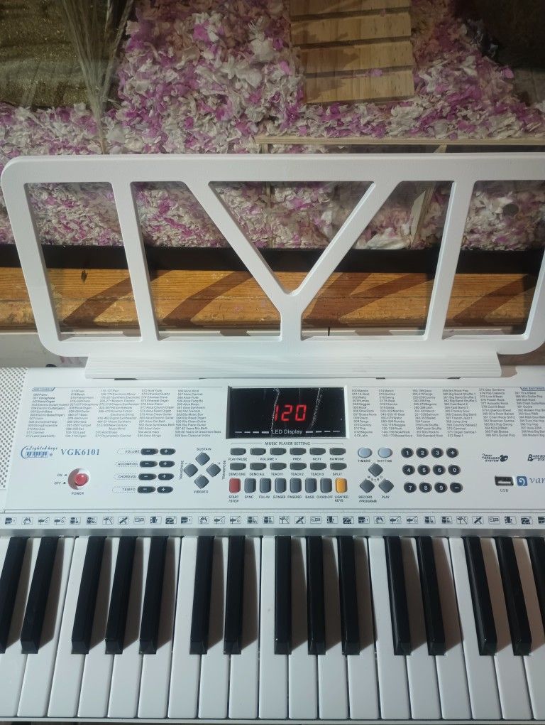 Digital Piano