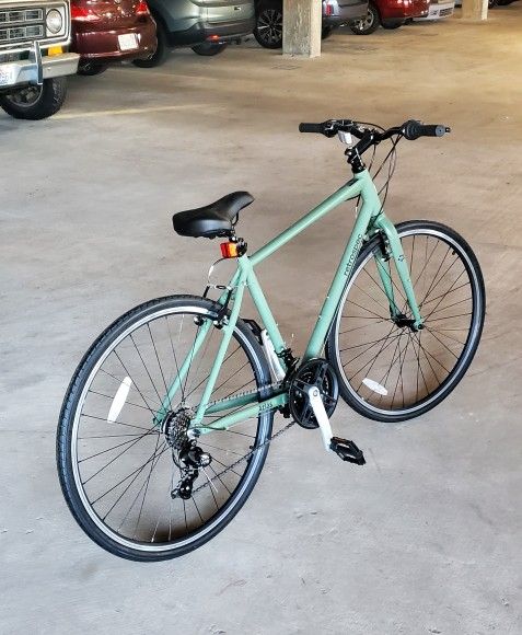 19 in Retrospec Bike