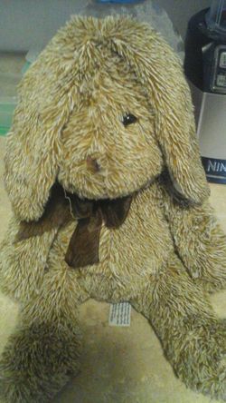 Beverly hills teddy bear company