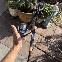 Fishing Rod And Reel 