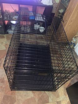 Large Pet Crate with Divider