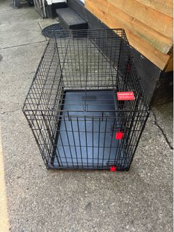 Kong Dog Crate