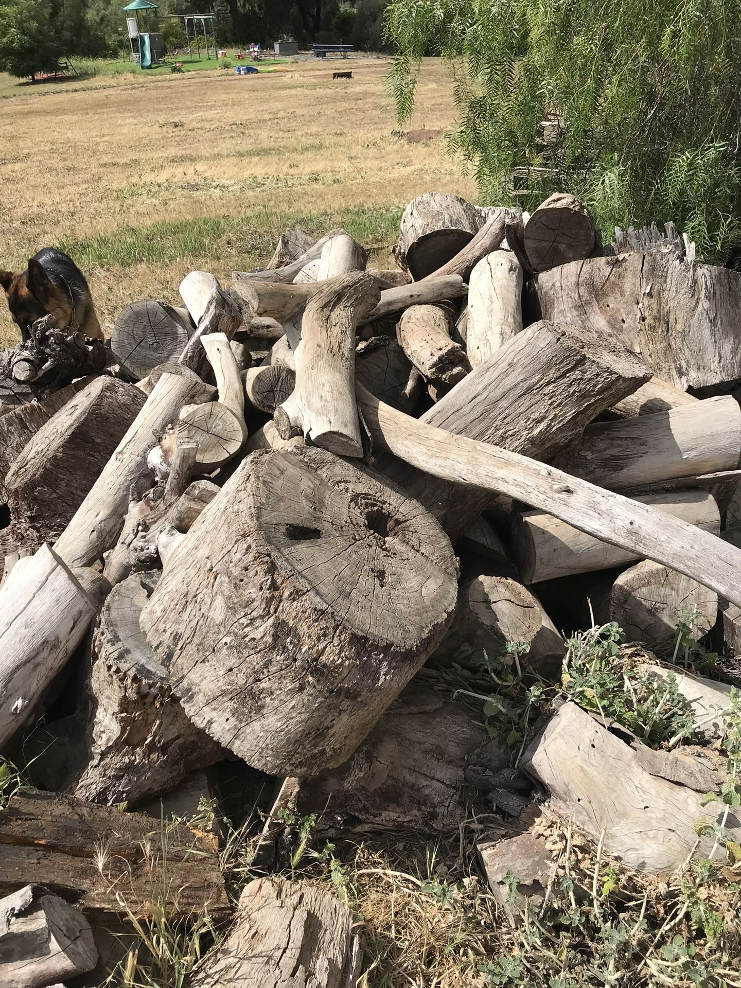 “REDUCED PRICE”…… Seasoned Eucalyptus Firewood