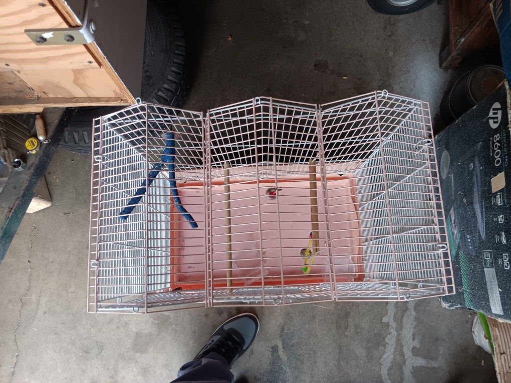 Bird Cage