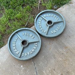  Barbell  35lbs (2)  Weights