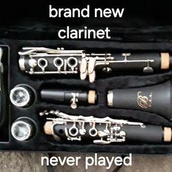 Brand New Clarinet, Has Never Been Played 