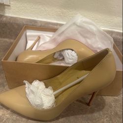 Christian Louboutin Woman’s Heels 