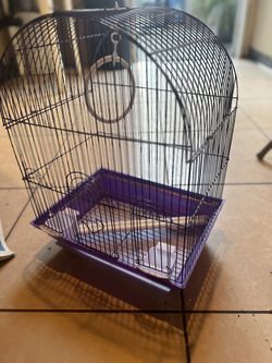 Bird Cages