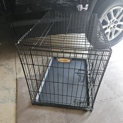 Pet Crate (Like New)
