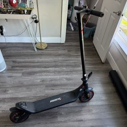 Electronic Scooter