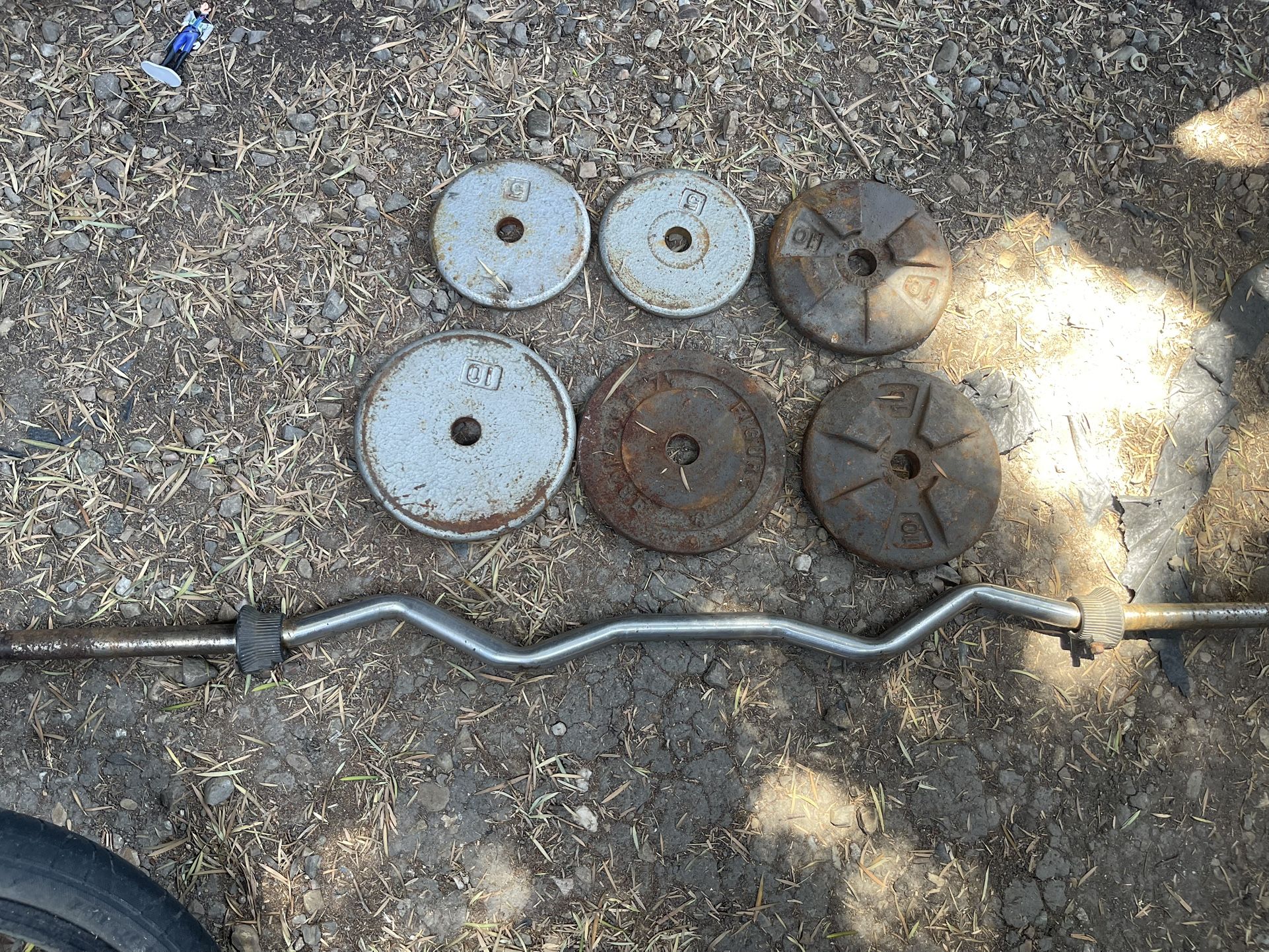 Standard Curl Bar With 50 Lbs Weight