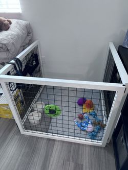 Dog Pen