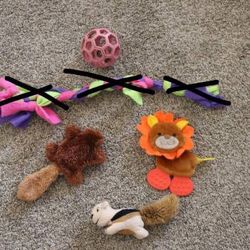 Dog Toys 