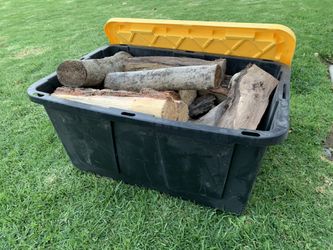 Dried Eucalyptus Wood