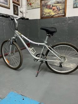 26" Wheel Infinity Canyon Mountain 21 Speed Bike.
Includes mirror

Excellent Condition. No flats.  Ready to Ride!!
