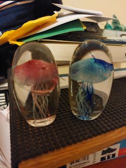 Jellyfish In glass