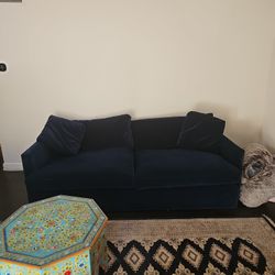 Exotic Couch