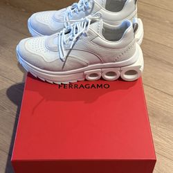 NEW Ferragamo Nima Knit Sneaker Ferragamo Shoes 