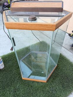 Hexagonal Glass Aquarium Tank with Hood and Light