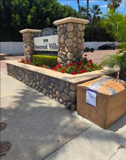 Free wayfair sofa