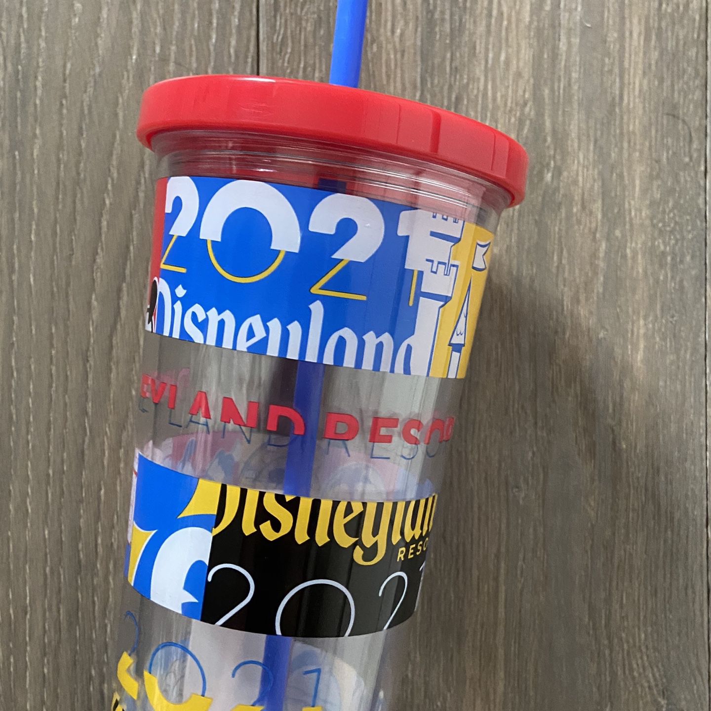 2021 Disneyland Cup